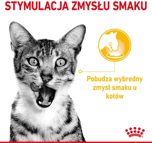Royal Canin Sensory Taste karma mokra kawałki w sosie 12x85g 303420 - Mokra karma dla kotów - miniaturka - grafika 11