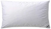 Poduszki dekoracyjne - Billerbeck billerbeck Poduszka puchowa Martina, 40 x 80 cm, stałe podparcie, puch gęsi 15% i pierze, 85%, poduszka pod głowę 40 x 80 - miniaturka - grafika 1