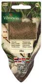 Nasiona i cebule - Vilmorin Pietruszka korzeniowa ALBA - miniaturka - grafika 1