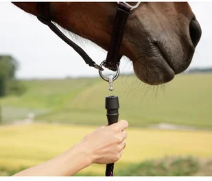 Can-agri Can-Agri Kantar Goleygo z Adapterem czarno-różowy roz.1 3221378 - Kantary dla koni - miniaturka - grafika 6