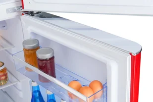 Lodówka Amica KGC15630R - Lodówki - miniaturka - grafika 15