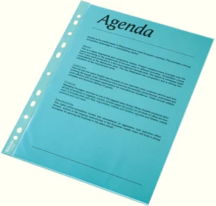 Esselte Polska - Koszulki krystaliczne, kolorowe A4, niebieski / 55 mic. - Szkolne artykuły papiernicze - miniaturka - grafika 2