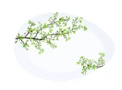 Miski i półmiski - Nuova Cer R2S Półmisek z porcelany R2S 1086 NTRA - miniaturka - grafika 1