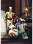 Fototapety - Fototapeta STAR WARS 254 x 184 cm - miniaturka - grafika 1