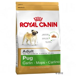 Royal Canin Pug (Mops) 3 kg - Sucha karma dla psów - miniaturka - grafika 2