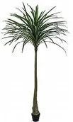 Sztuczne drzewka - Europalms EUROPALMS Dracena, zielona, sztuczny, 220 cm 82505798 - miniaturka - grafika 1