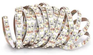 Taśmy LED - KOLORENO TAŚMA LED 12V | 3528 | 120LED | 1M | IP20 | BIAŁY CIEPŁY 1M-3528/120/IP20WW - miniaturka - grafika 1