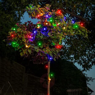 Konstsmide 3691-507 łańcuch świetlny LED z okrągłymi diodami, do użytku na zewnątrz, stopień ochrony: IP44, transformator zewnętrzny 24 V, 80 diod, czarny kabel 3691-507EE - Pozostałe oświetlenie - miniaturka - grafika 6