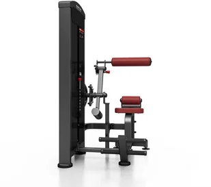 Marbo Sport Maszyna 2-w-1 na grzbiet i brzuch ze stosem MP-U220 - Atlasy do ćwiczeń Marbo Sport Maszyna 2-w-1 na grzbiet i brzuch ze stosem MP-U220 - Atlasy do ćwiczeń - miniaturka - grafika 14