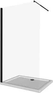 Deante Abelia Kabina Walk-In 120 cm - Kabiny prysznicowe - miniaturka - grafika 2