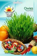 Nasiona na kiełki - Toraf Owies Wielkanocny 30g Nas000058 - miniaturka - grafika 1