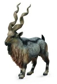 Collecta Tadjik Markhor - Figurki dla dzieci - miniaturka - grafika 2