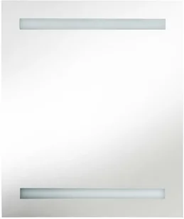 vidaXL Szafka łazienkowa z lustrem i LED, 50 x 14 x 60 cm - Szafki łazienkowe - miniaturka - grafika 5