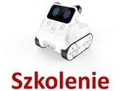 Pomoce naukowe - Mentor Szkolenie z kodowania 8099 - miniaturka - grafika 1