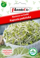 Nasiona na kiełki - PlantiCo Nasiona na kiełki Kapusta pekińska 100539 - miniaturka - grafika 1