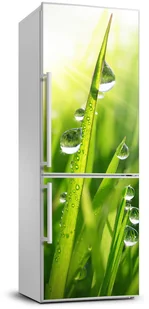 Naklejka samoprzylepna okleina Źdźbła trawy - Naklejki na drzwi i meble - miniaturka - grafika 2