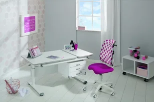 Paidi Kinderwelten Kinderwelten, Diego GT, Biurko, Kredowa biel - Biurka dla dzieci - miniaturka - grafika 5