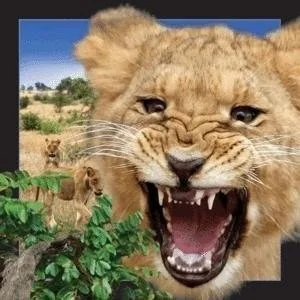 Worth-Keeping Gadżet Worth-Keeping Magnes na lodówkę 3D Lew WIKR-1000423 WIKR-1000423 - Gadżety USB - miniaturka - grafika 4