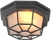 Lampy ogrodowe - QAZQA Wiejska lampa sufitowa ciemnoszary IP44 - Bri S - miniaturka - grafika 1