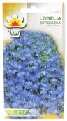 Nasiona i cebule - Toraf Lobelia Stroiczka Nas000312 - miniaturka - grafika 1