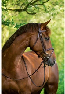 Kerbl Ogłowie wędzidłowe Classic, skóra, brązowe, rozmiar Full, 324913 - Ogłowia - miniaturka - grafika 2