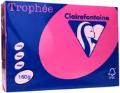 Papier do drukarek - Emerson Papier ksero A4 160g intensywny/rożó Trophee 1017 - miniaturka - grafika 1