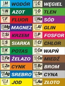Pomoce naukowe - Pierwiastki chemiczne ES035 - miniaturka - grafika 1
