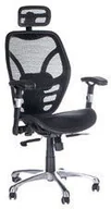 Fotele i krzesła biurowe - Corpocomfort Fotel ergonomiczny CorpoComfort BX-4036 Czarny BX-4036 - miniaturka - grafika 1