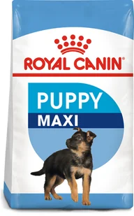 Royal Canin ROYAL CANIN Maxi Puppy 15kg + Maxi Puppy saszetka 140g 252950 - Sucha karma dla psów - miniaturka - grafika 3