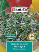 Nasiona i cebule - Plantico Nasiona na Kiełki gorczycy - miniaturka - grafika 1