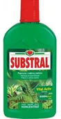 Nawozy ogrodnicze - Substral Nawóz do paproci 500ml, marki sub10410 - miniaturka - grafika 1