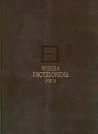 Wydawnictwo Naukowe PWN Wielka encyklopedia PWN Tom 6 - Wydawnictwo Naukowe PWN - Encyklopedie i leksykony Wydawnictwo Naukowe PWN Wielka encyklopedia PWN Tom 6 - Wydawnictwo Naukowe PWN - Encyklopedie i leksykony - miniaturka - grafika 1