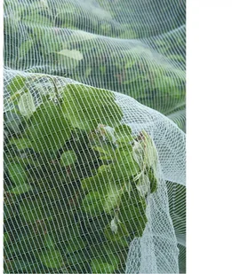 Nature Nature Siatka przeciw owocówce jabłkóweczce 6030450 6030450 - Pozostałe elektronarzędzia - miniaturka - grafika 4