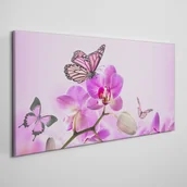 Obrazy i zdjęcia - PL Coloray Obraz Canvas Kwiaty Natura Motyl 140x70cm - miniaturka - grafika 1