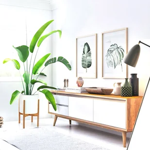 Blumfeldt Zeist stojak na kwiaty, kwietnik, 2 wysokości, dowolne łączenie, montaż bez użycia narzędzi, naturalne drewno PS-BAMBOO-M - Donice - miniaturka - grafika 2