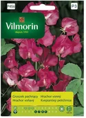 Nasiona i cebule - Vilmorin Nasiona groszek pachnący różowy - miniaturka - grafika 1