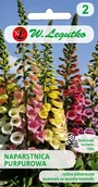 Nasiona i cebule - Legutko Naparstnica purpurowa Foxy mieszanka 5903837128501 - miniaturka - grafika 1