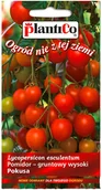 Nasiona i cebule - Plantico Pomidor Pokusa - miniaturka - grafika 1