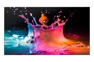 Samsung UD55E-A - Monitory reklamowe i wyświetlacze - miniaturka - grafika 5