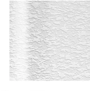 Erismann Top Trend 2 5364-10 10,05x0,53/Tapeta Do Malowania Na Podłożu Flizelinowym/GAT 1 ER 5364-10 - Tapety - miniaturka - grafika 2