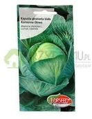 Nasiona i cebule - Torseed Kapusta głowiasta biała Kamienna Głowa 2g - miniaturka - grafika 1
