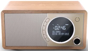 Sharp DR-450 białe - Radia - miniaturka - grafika 11