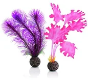 Dekoracje do akwarium - Oase OASE biorb See zestaw Tang mały, liliowy, mały, różowy 46081.0 - miniaturka - grafika 1