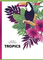 Zeszyty szkolne - St. Majewski ZESZYT BAMBINO A5 32 KARTKI KRATKA LAMINOWANY 07011 AP07011 - miniaturka - grafika 1