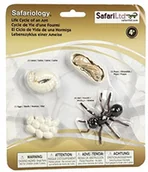 Figurki dla dzieci - Safari Life Cycle Of An mrówek 663916 - miniaturka - grafika 1