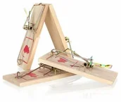 Zwalczanie i odstraszanie szkodników - Pułapka na myszy, zestaw 4 szt. - miniaturka - grafika 1