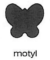 dp Craft Dziurkacz OZDOBNY 1.6CM MOTYLEK - Dziurkacze - miniaturka - grafika 2