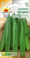 Nasiona i cebule - Toraf Ogórek Gergana 5g Nas000398 - miniaturka - grafika 1