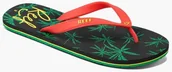 Klapki i japonki męskie - Reef japonki męskie SWITCHFOOT PRINTS Rasta Palm - miniaturka - grafika 1