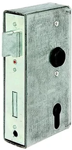 GAH-Alberts 417031 kaseta zamka z ocynkowanym zamkiem, stal, surowy, rozmiar trzpienia: 60 mm - Zamki i wkładki GAH-Alberts 417031 kaseta zamka z ocynkowanym zamkiem, stal, surowy, rozmiar trzpienia: 60 mm - Zamki i wkładki - miniaturka - grafika 1